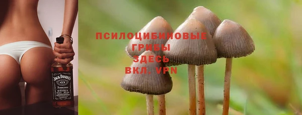винт Аркадак
