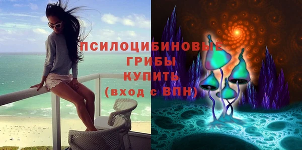 винт Балахна